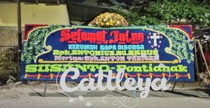 papan bunga Medan 1 mahkota bunga segar